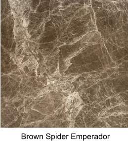 Brown Spider Emperador